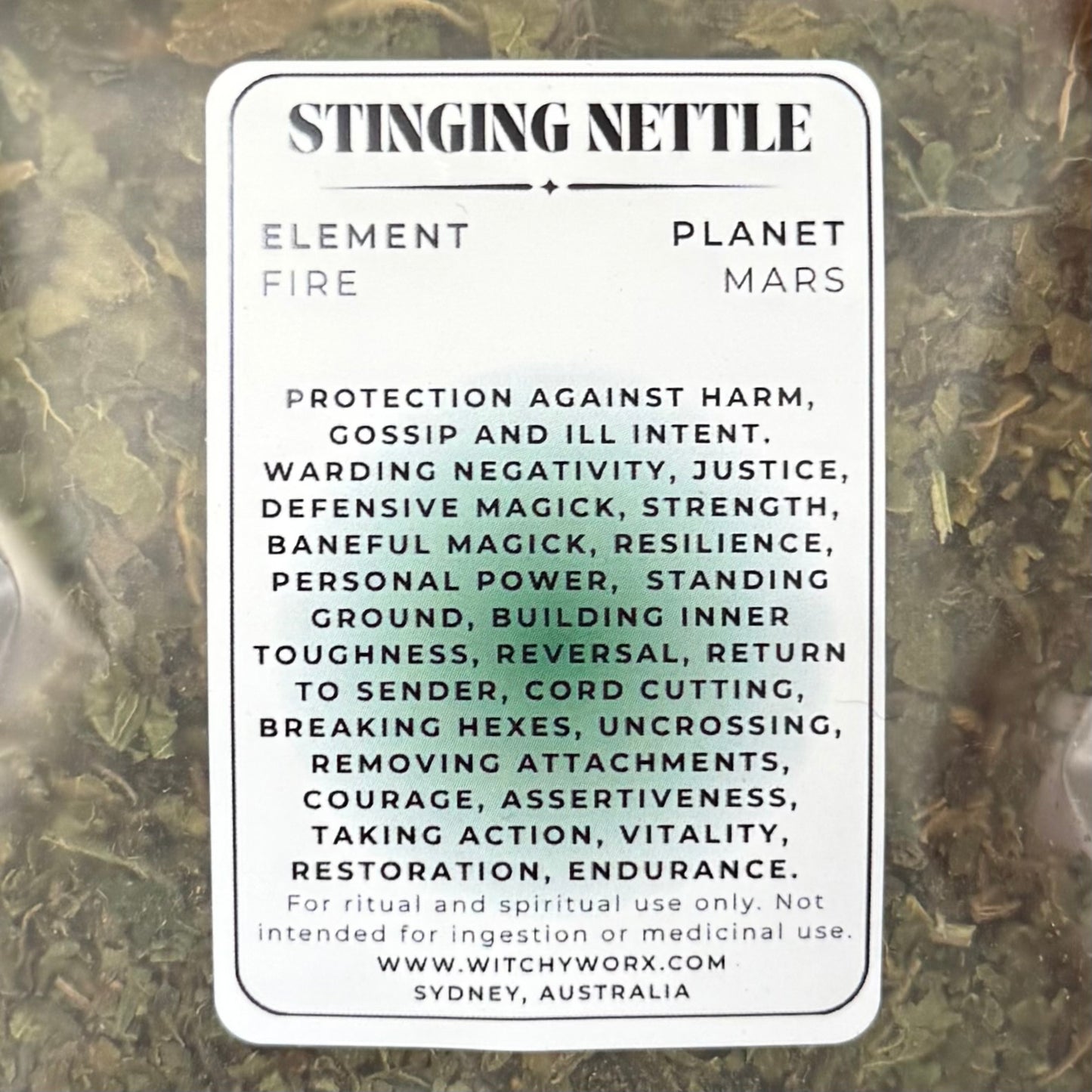 Stinging Nettle