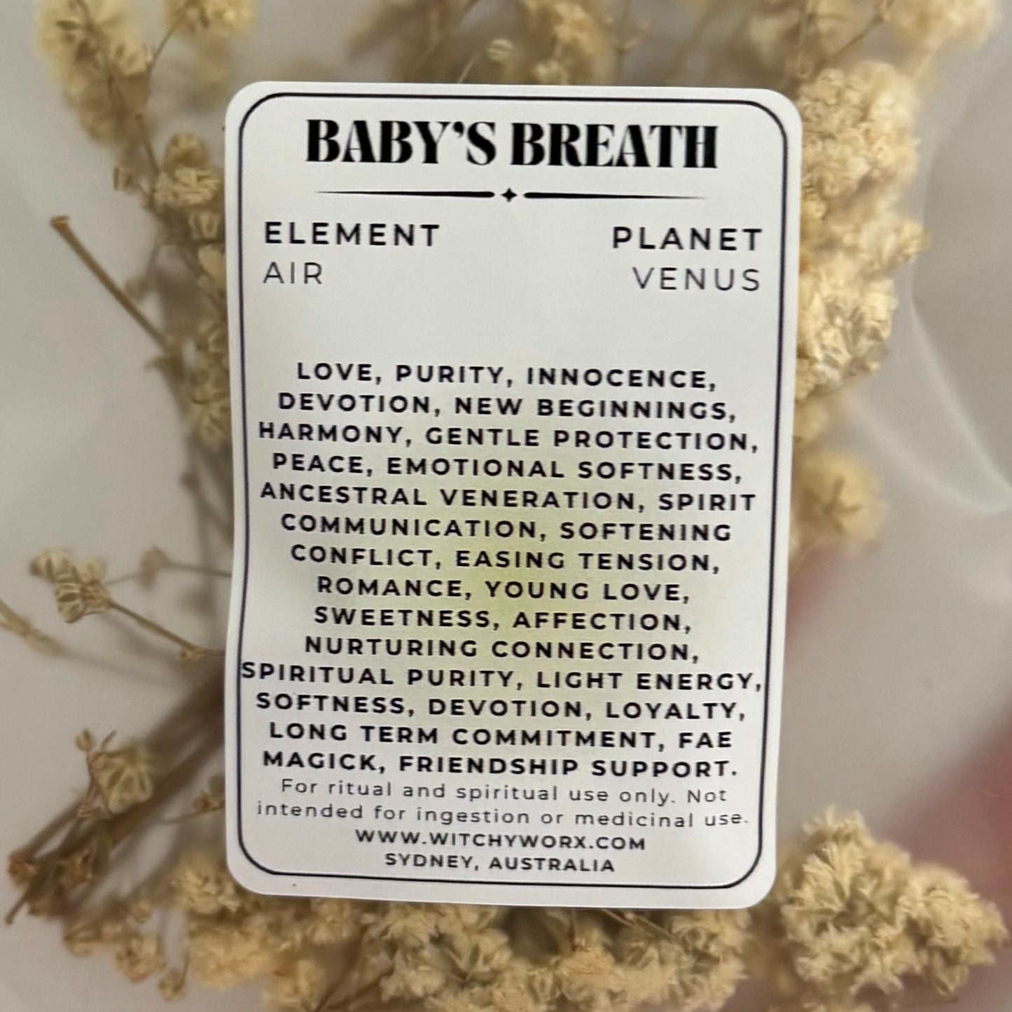 Baby’s Breath
