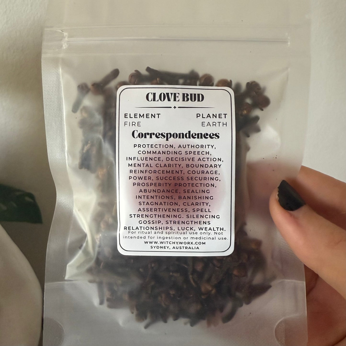Clove Bud