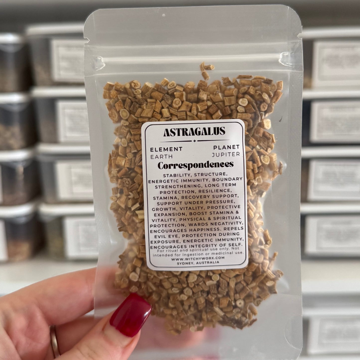Astragalus