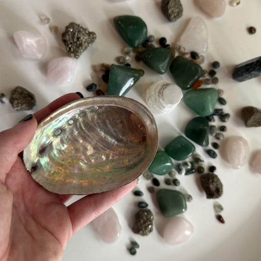 Abalone Shell