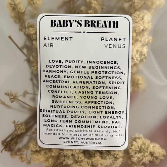 Baby’s Breath