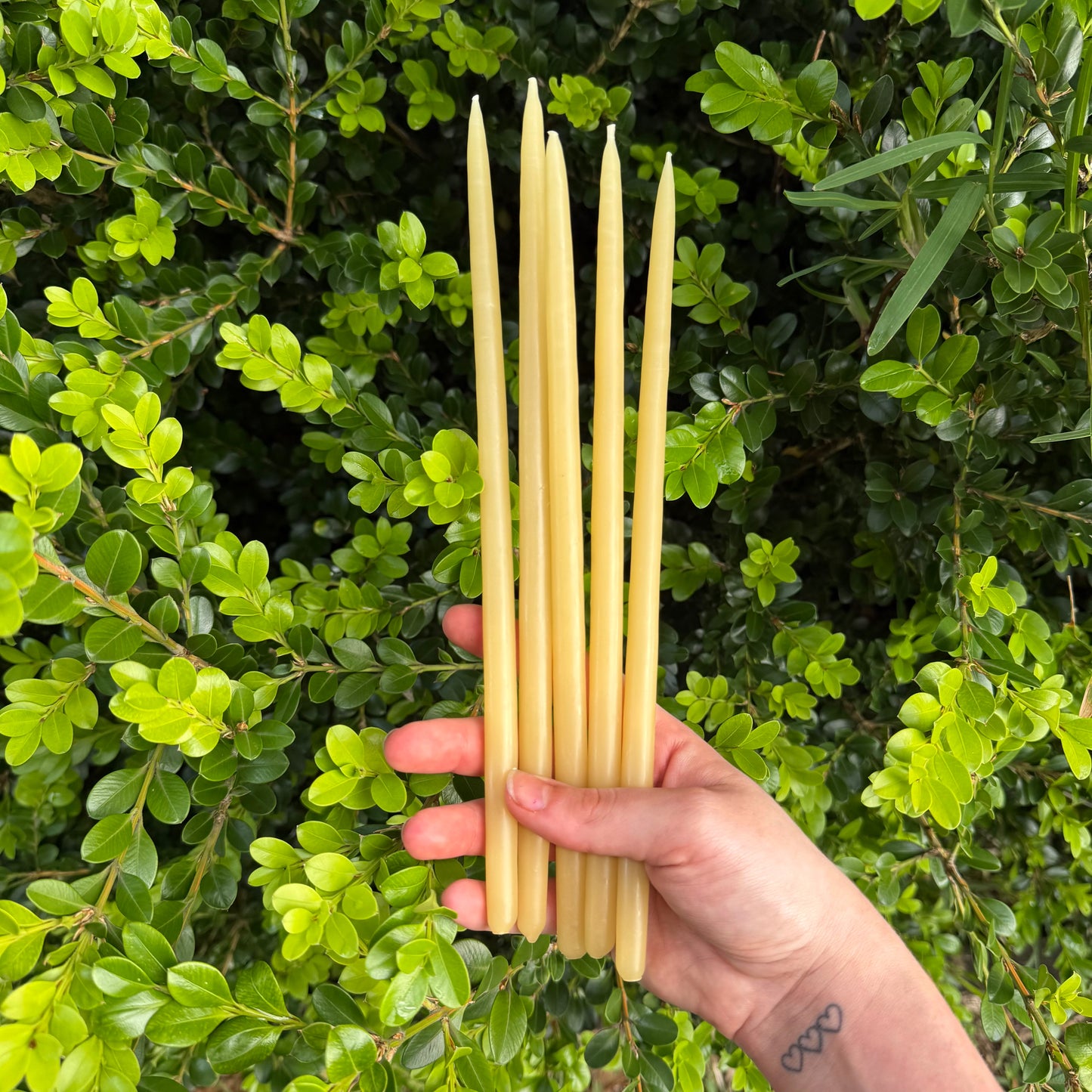 5pk Beeswax Prayer Candles - 25cm