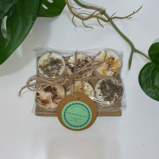 Prosperity Dressed Tealights - 6 Pack